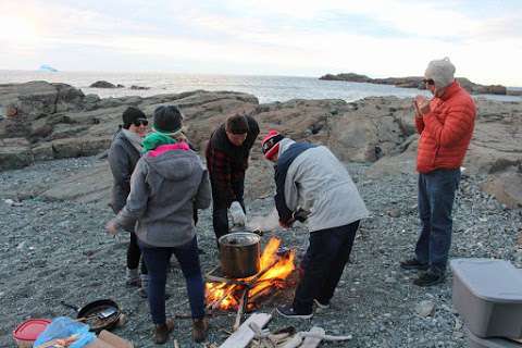 Bonavista Adventure Tours